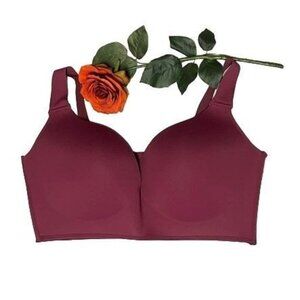 Rhonda Shear Plunge Bra with Adjustable Staps 2X